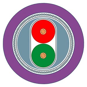 Cáp kết nối, phụ kiện đầu nối Profibus/Profinet - 6XV1831-2L