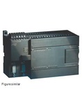 S7-200 CPUs 224